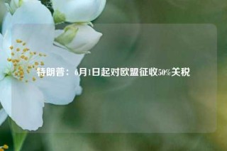 特朗普：6月1日起对欧盟征收50%关税