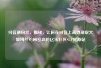 抖音刷粉丝，揭秘，如何在抖音上高效刷取大量粉丝的秘密攻略亿乐社区SUP货源站