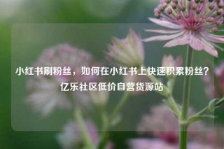 小红书刷粉丝，如何在小红书上快速积累粉丝？亿乐社区低价自营货源站