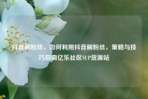 抖音刷粉丝，如何利用抖音刷粉丝，策略与技巧指南亿乐社区SUP货源站