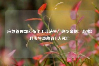 应急管理部公布化工非法生产典型案例：苏豫3月发生事故致14人死亡