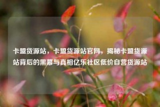卡盟货源站，卡盟货源站官网，揭秘卡盟货源站背后的黑幕与真相亿乐社区低价自营货源站