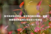 快手购买粉丝网站，快手购买粉丝网站，揭秘黑幕背后的真相亿乐社区SUP货源站