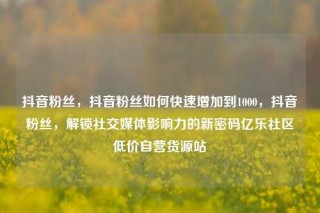 抖音粉丝，抖音粉丝如何快速增加到1000，抖音粉丝，解锁社交媒体影响力的新密码亿乐社区低价自营货源站