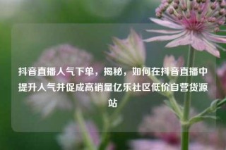 抖音直播人气下单，揭秘，如何在抖音直播中提升人气并促成高销量亿乐社区低价自营货源站