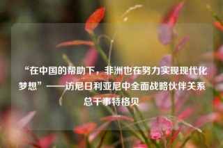 “在中国的帮助下，非洲也在努力实现现代化梦想”——访尼日利亚尼中全面战略伙伴关系总干事特格贝