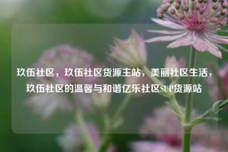 玖伍社区，玖伍社区货源主站，美丽社区生活，玖伍社区的温馨与和谐亿乐社区SUP货源站