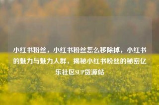 小红书粉丝，小红书粉丝怎么移除掉，小红书的魅力与魅力人群，揭秘小红书粉丝的秘密亿乐社区SUP货源站