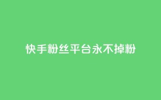 快手粉丝平台+永不掉粉,南荷网络24小时在线下单平台优惠 - 抖音业务下单24小时便宜 - QQ人气访客
