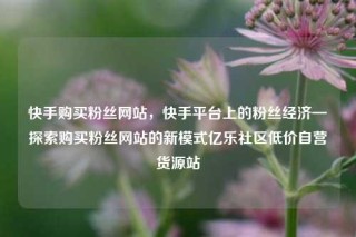 快手购买粉丝网站，快手平台上的粉丝经济—探索购买粉丝网站的新模式亿乐社区低价自营货源站