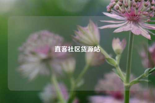 直客社区货源站  第1张