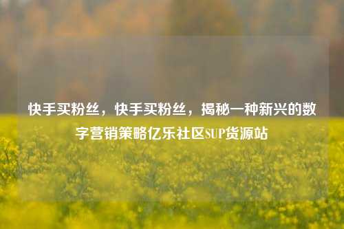 快手买粉丝，快手买粉丝	，揭秘一种新兴的数字营销策略亿乐社区SUP货源站  第1张