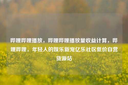 哔哩哔哩播放	，哔哩哔哩播放量收益计算，哔哩哔哩，年轻人的娱乐新宠亿乐社区低价自营货源站  第1张