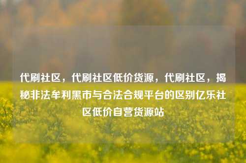 代刷社区，代刷社区低价货源	，代刷社区，揭秘非法牟利黑市与合法合规平台的区别亿乐社区低价自营货源站  第1张