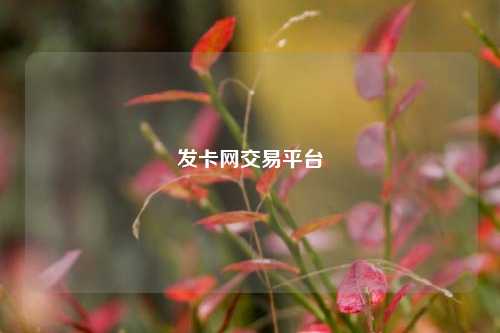 发卡网交易平台  第1张