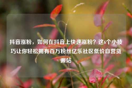抖音涨粉，如何在抖音上快速涨粉？这6个小技巧让你轻松拥有百万粉丝亿乐社区低价自营货源站  第1张