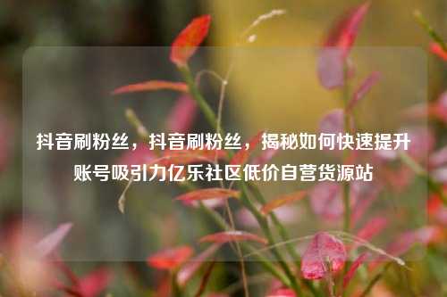 抖音刷粉丝，抖音刷粉丝，揭秘如何快速提升账号吸引力亿乐社区低价自营货源站  第1张