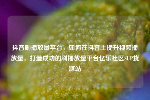 抖音刷播放量平台	，如何在抖音上提升视频播放量，打造成功的刷播放量平台亿乐社区SUP货源站  第1张