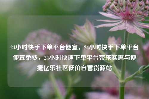 24小时快手下单平台便宜	，24小时快手下单平台便宜免费，24小时快速下单平台带来实惠与便捷亿乐社区低价自营货源站  第1张
