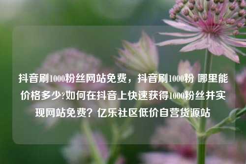 抖音刷1000粉丝网站免费，抖音刷1000粉 哪里能价格多少?如何在抖音上快速获得1000粉丝并实现网站免费？亿乐社区低价自营货源站  第1张
