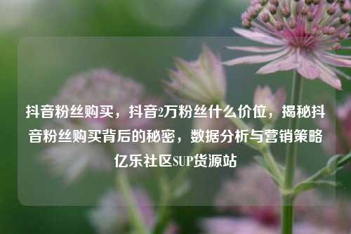抖音粉丝购买，抖音2万粉丝什么价位	，揭秘抖音粉丝购买背后的秘密，数据分析与营销策略亿乐社区SUP货源站  第1张