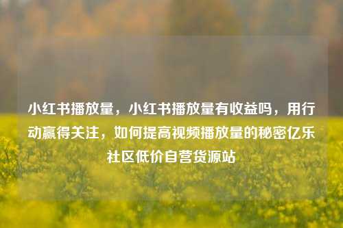 小红书播放量	，小红书播放量有收益吗，用行动赢得关注，如何提高视频播放量的秘密亿乐社区低价自营货源站  第1张