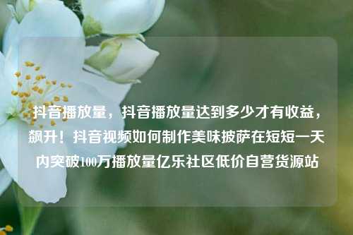 抖音播放量	，抖音播放量达到多少才有收益，飙升！抖音视频如何制作美味披萨在短短一天内突破100万播放量亿乐社区低价自营货源站  第1张