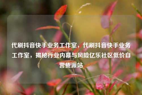 代刷抖音快手业务工作室，代刷抖音快手业务工作室，揭秘行业内幕与风险亿乐社区低价自营货源站  第1张