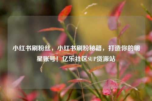 小红书刷粉丝	，小红书刷粉秘籍，打造你的明星账号！亿乐社区SUP货源站  第1张