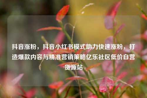 抖音涨粉	，抖音小红书模式助力快速涨粉，打造爆款内容与精准营销策略亿乐社区低价自营货源站  第1张