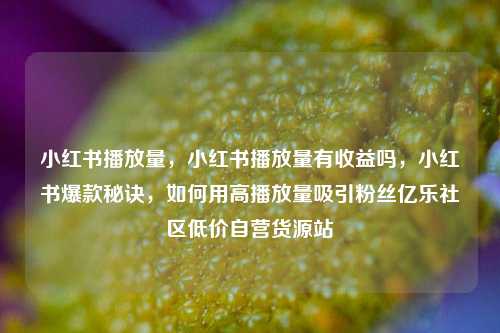 小红书播放量，小红书播放量有收益吗，小红书爆款秘诀	，如何用高播放量吸引粉丝亿乐社区低价自营货源站  第1张