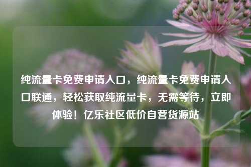 纯流量卡免费申请入口，纯流量卡免费申请入口联通	，轻松获取纯流量卡，无需等待，立即体验！亿乐社区低价自营货源站  第1张