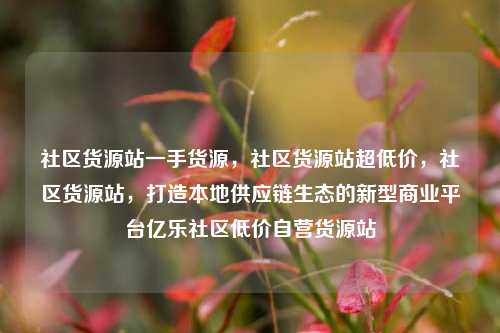 社区货源站一手货源，社区货源站超低价	，社区货源站，打造本地供应链生态的新型商业平台亿乐社区低价自营货源站  第1张
