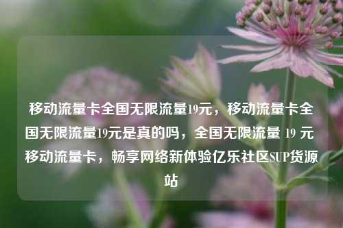 移动流量卡全国无限流量19元	，移动流量卡全国无限流量19元是真的吗，全国无限流量 19 元 移动流量卡，畅享网络新体验亿乐社区SUP货源站  第1张