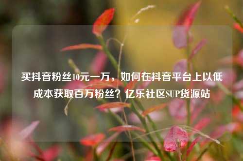 买抖音粉丝10元一万，如何在抖音平台上以低成本获取百万粉丝？亿乐社区SUP货源站  第1张