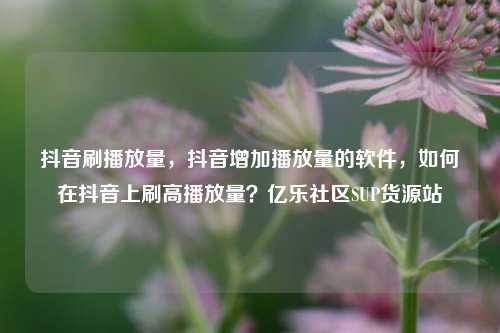 抖音刷播放量，抖音增加播放量的软件	，如何在抖音上刷高播放量？亿乐社区SUP货源站  第1张