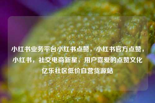 小红书业务平台小红书点赞	，小红书官方点赞，小红书，社交电商新星	，用户喜爱的点赞文化亿乐社区低价自营货源站  第1张
