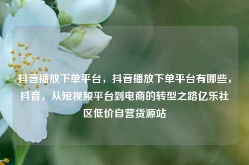 抖音播放下单平台	，抖音播放下单平台有哪些，抖音，从短视频平台到电商的转型之路亿乐社区低价自营货源站  第1张