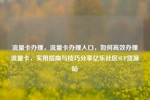 流量卡办理	，流量卡办理入口，如何高效办理流量卡，实用指南与技巧分享亿乐社区SUP货源站  第1张
