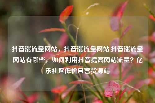 抖音涨流量网站	，抖音涨流量网站,抖音涨流量网站有哪些，如何利用抖音提高网站流量？亿乐社区低价自营货源站  第1张