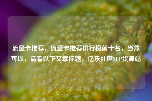 流量卡推荐，流量卡推荐排行榜前十名，当然可以	，请看以下文章标题，亿乐社区SUP货源站  第1张