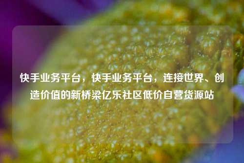 快手业务平台，快手业务平台，连接世界、创造价值的新桥梁亿乐社区低价自营货源站  第1张