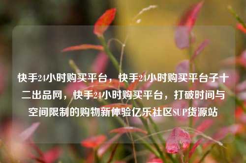 快手24小时购买平台，快手24小时购买平台子十二出品网，快手24小时购买平台	，打破时间与空间限制的购物新体验亿乐社区SUP货源站  第1张