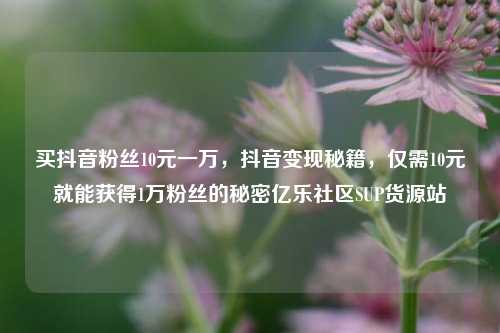 买抖音粉丝10元一万，抖音变现秘籍，仅需10元就能获得1万粉丝的秘密亿乐社区SUP货源站  第1张